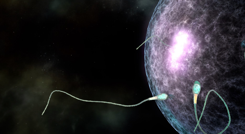 Image: Wyss Institute at Harvard University